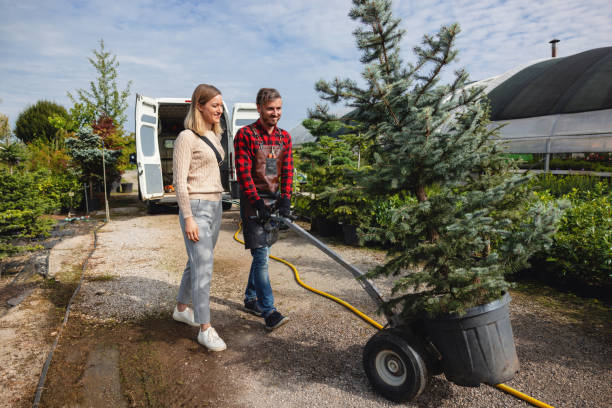 Best Commercial Tree Services  in Magalia, CA